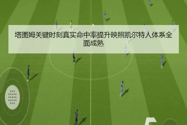 塔图姆关键时刻真实命中率提升映照凯尔特人体系全面成熟