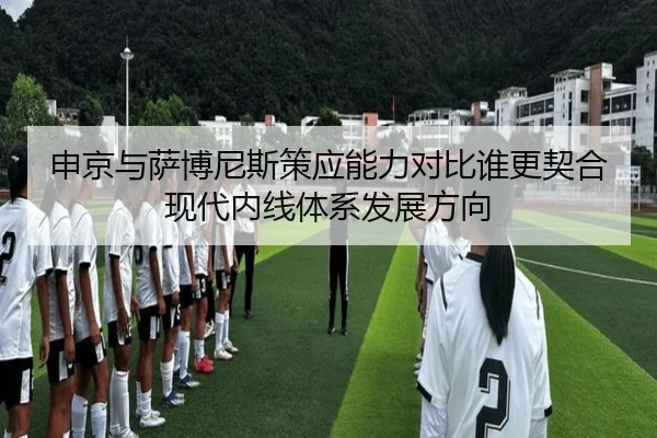 申京与萨博尼斯策应能力对比谁更契合现代内线体系发展方向